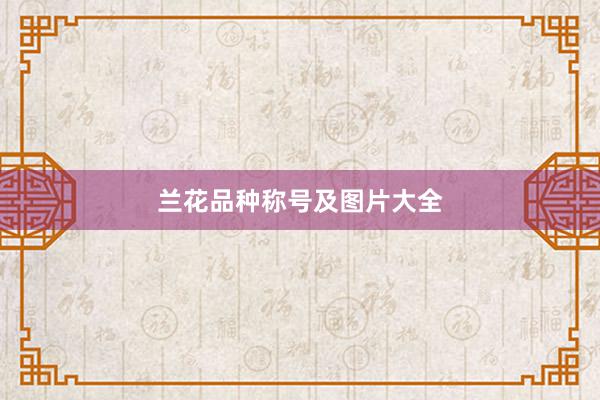 兰花品种称号及图片大全